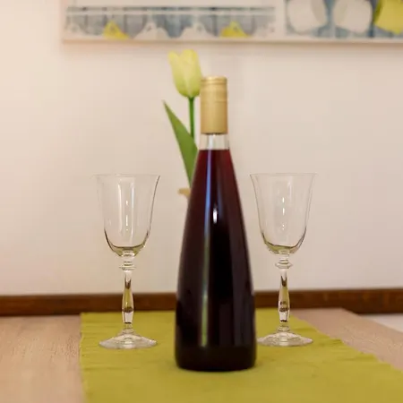 Hana Apartament *